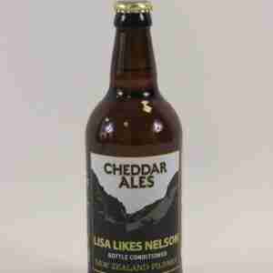 Cheddar Ales Lisa Likes Nelson