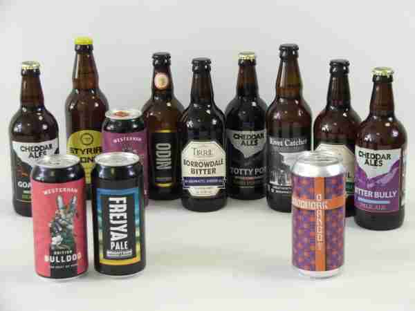 12 Mixed Gluten Free Beers Case 1