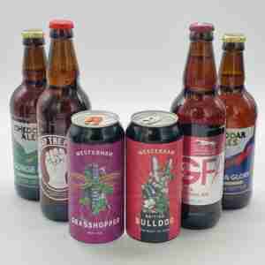 6 dark beers 1