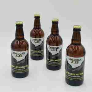 12 x Cheddar Ales Lisa Likes Nelson