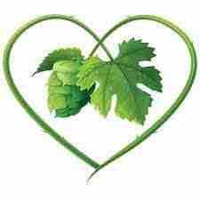Gluten Free Beer Company - The Gluten Free Breweries 14