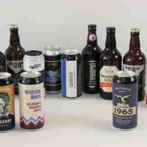 12 Mixed Gluten Free Beers Case 4